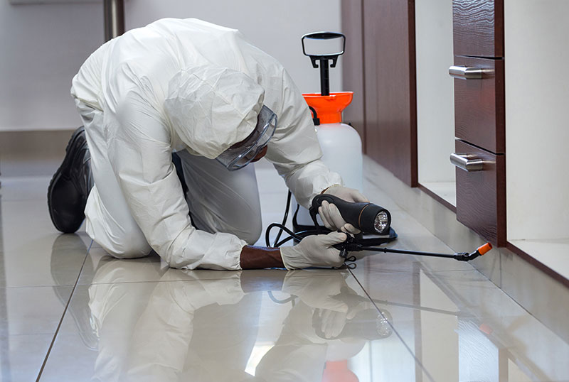 Fumigation